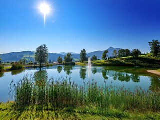 Appartamento per vacanze Flachau Ambiente 26