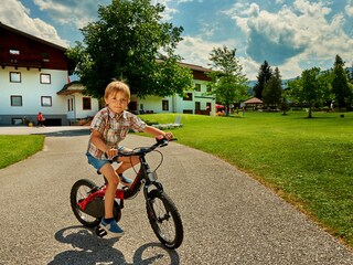 Appartamento per vacanze Flachau Ambiente 34