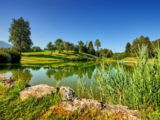 Appartamento per vacanze Flachau Registrazione all'aperto 10