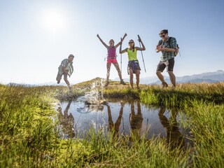 Appartamento per vacanze Flachau Ambiente 43