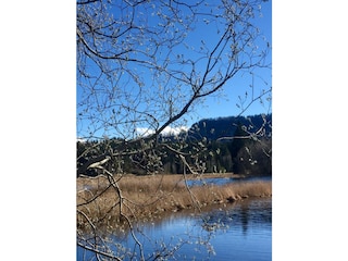 Naturschutzgebiet Widdumer Weiher