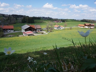 Blick vom Hügel auf den Hof