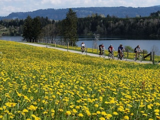 Frühling im Allgäu