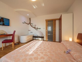 Villa Svetvinčenat Caratteristiche 14