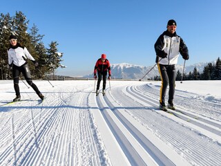 Appartamento per vacanze Deutschnofen Ambiente 24