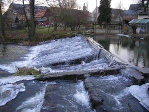 Ferienwohnung Porschendorfer Mühle - Dürrröhrsdorf-Dittersbach - image1