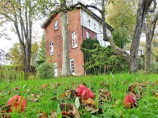 Appartement de vacances Kappeln (Stadt)  6