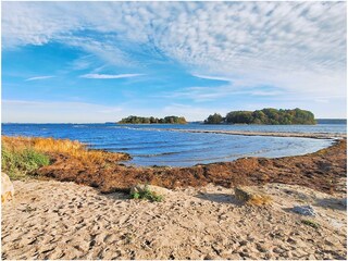 Ochseninseln - Flensburger Förde