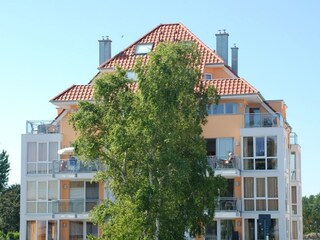 Apartamento de vacaciones Großenbrode Grabación al aire libre 2