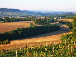 Casa per le vacanze Semur-en-Auxois Ambiente 27