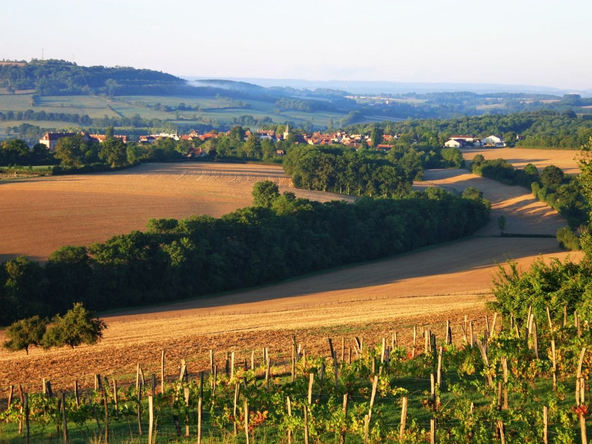 View from the garden.