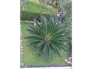 Vakantieappartement Baška Voda Buitenaudio-opname 5