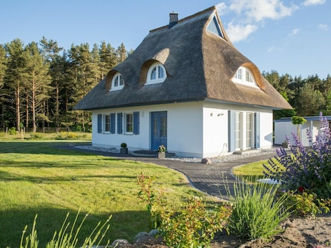 Ferienhaus Haubenlerche 16