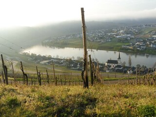 Appartement de vacances Piesport Environnement 35