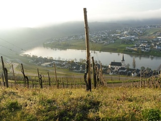 Vakantieappartement Piesport Omgeving 35