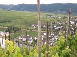 Appartamento per vacanze Piesport Ambiente 26