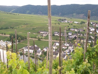 Vakantieappartement Piesport Omgeving 27