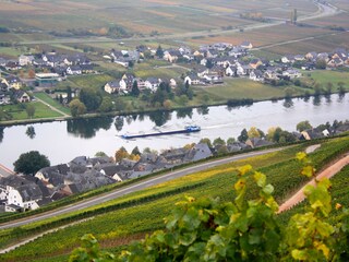 Vakantieappartement Piesport Omgeving 24