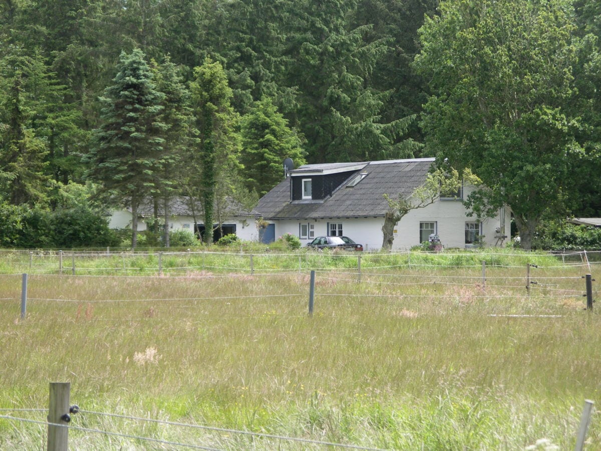 Haus von Ellmann´s und FEWO Bienenkorb in absoluter All