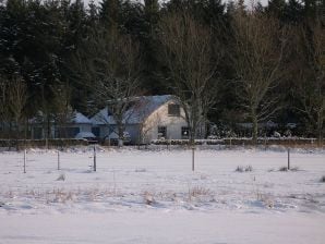 Ferienwohnung Bienenkorb - Uphusum - image1