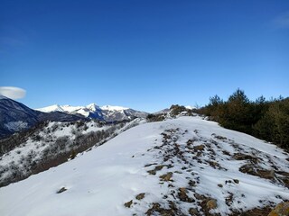 Casa per le vacanze Erli Ambiente 22