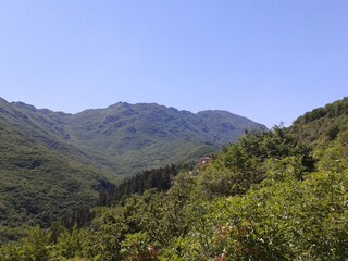 Casa per le vacanze Erli Ambiente 18