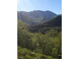 Casa per le vacanze Erli Ambiente 20