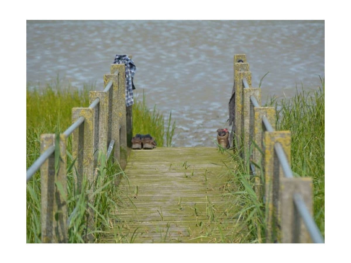 Steg an der Elbe