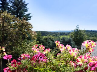 Blick vom Balkon