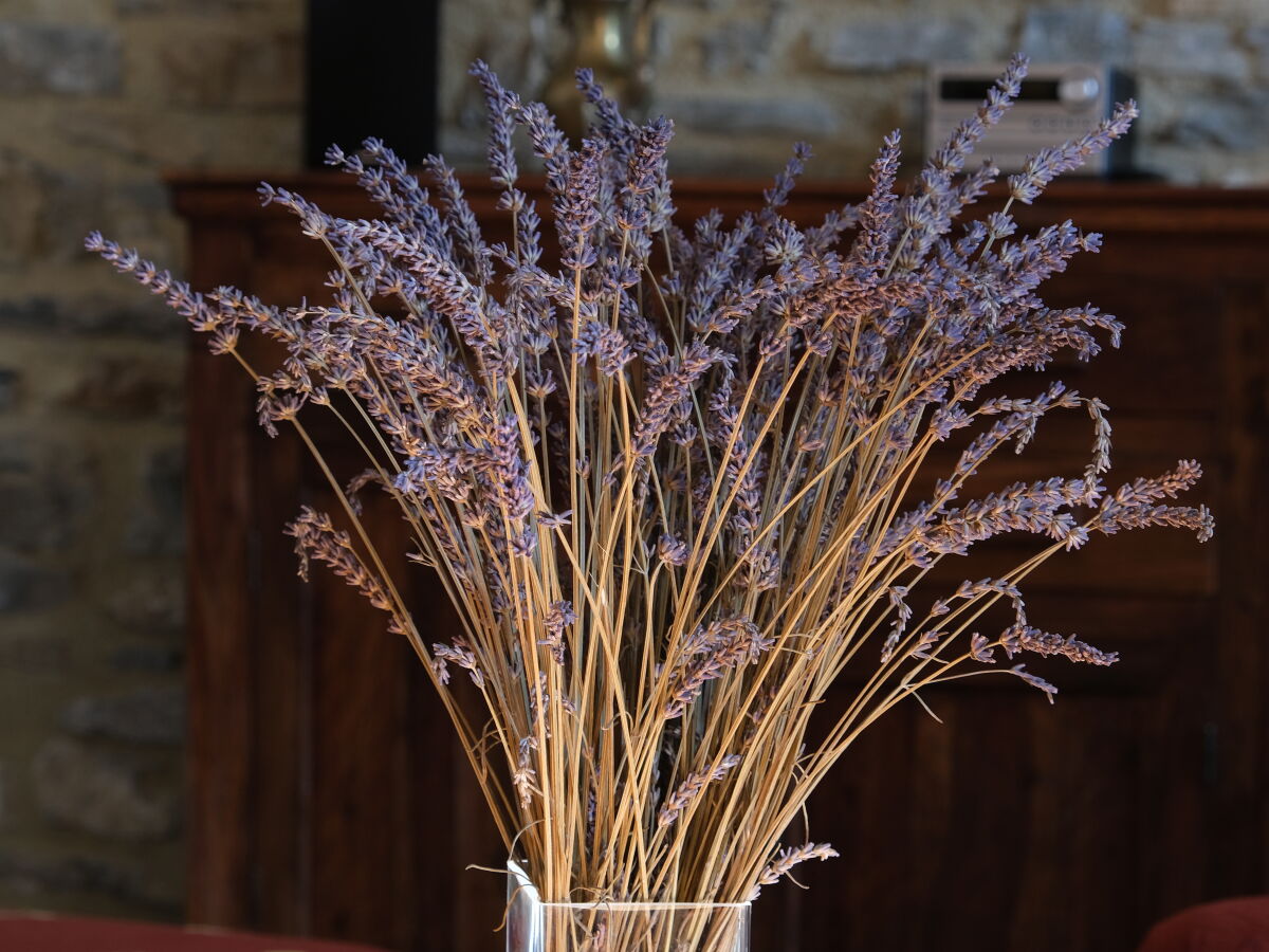 Lavendel aus dem eigenen Garten