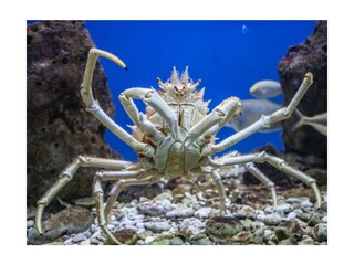 Vakantieappartement Baska Omgeving 16