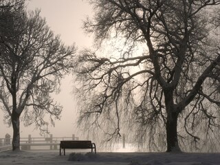 Müritzufer  im Winter, die Kietzbrücke