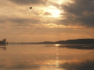 Müritz im Winter