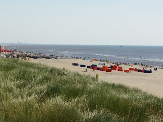 Ferienhaus Noordwijk Außenaufnahme 2