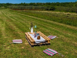 Picknick-Bereich