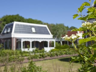 Holiday house in nature