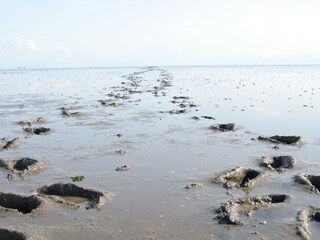 Fußstapfen nicht nur am Strand, aber auch ins Watt...