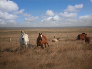 Und hier fühlen wir uns frei...