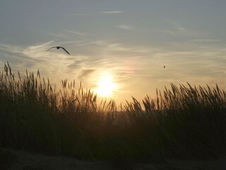 Abendstimmung