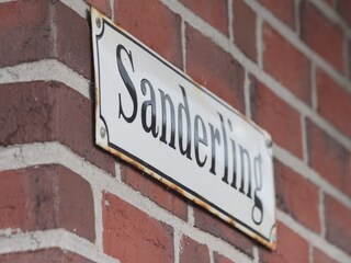 Sanderling