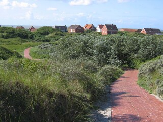 Strandweg durch die Dünen