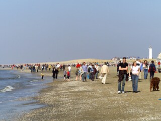 Vakantiehuis Noordwijk Omgeving 20