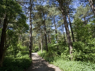 Casa per le vacanze Noordwijk Ambiente 22