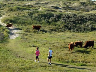 Vakantiehuis Noordwijk Omgeving 23