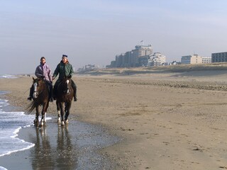 Vakantiehuis Noordwijk Omgeving 24