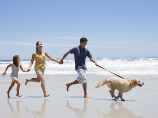Casa per le vacanze Sint Maartenszee Ambiente 15