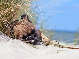 Casa per le vacanze Sint Maartenszee Ambiente 18