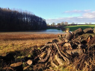 Casa per le vacanze Kappeln (Stadt) Registrazione all'aperto 9