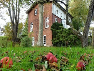 Maison de vacances Kappeln (Stadt)  47