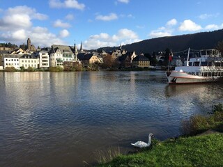 Blick in Richtung Moselbrücke